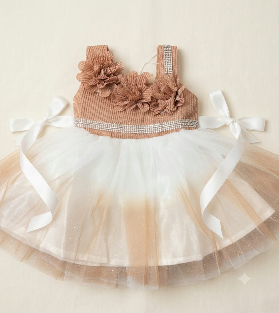 Girls Ombre Tulle Party Dress with Floral Appliqué and Bows